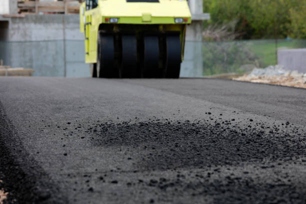 Best Local Driveway Pavers  in Cary, IL